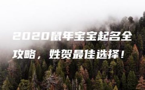 2020鼠年宝宝起名全攻略，姓贺最佳选择！