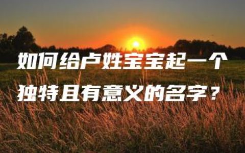 如何给卢姓宝宝起一个独特且有意义的名字？