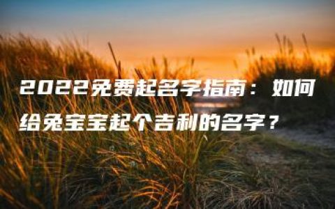 2022免费起名字指南：如何给兔宝宝起个吉利的名字？