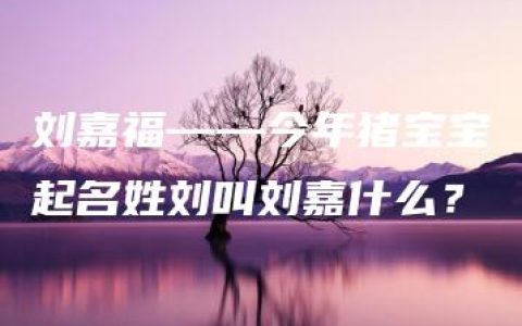 刘嘉福——今年猪宝宝起名姓刘叫刘嘉什么？