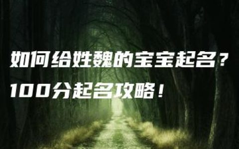 如何给姓魏的宝宝起名？100分起名攻略！