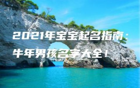 2021年宝宝起名指南：牛年男孩名字大全！