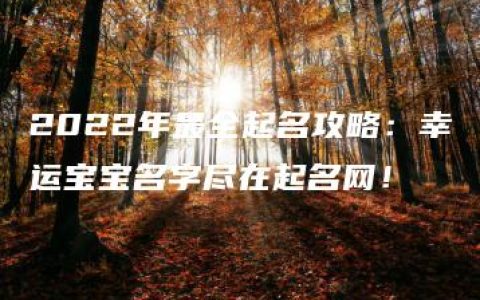 2022年最全起名攻略：幸运宝宝名字尽在起名网！