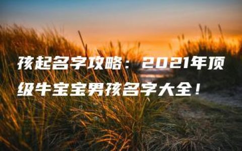 孩起名字攻略：2021年顶级牛宝宝男孩名字大全！