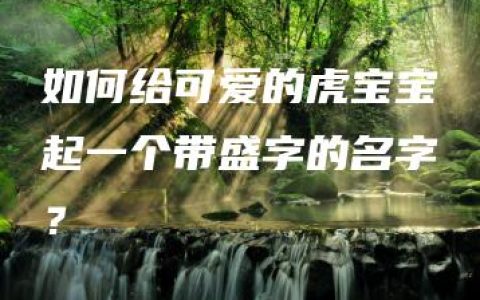 如何给可爱的虎宝宝起一个带盛字的名字？