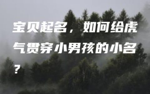 宝贝起名，如何给虎气贯穿小男孩的小名？