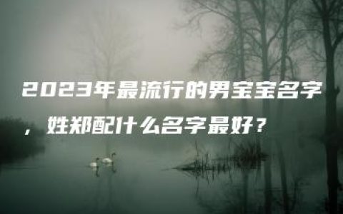 2023年最流行的男宝宝名字，姓郑配什么名字最好？