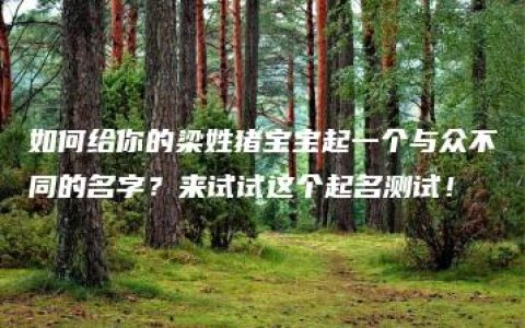 如何给你的梁姓猪宝宝起一个与众不同的名字？来试试这个起名测试！