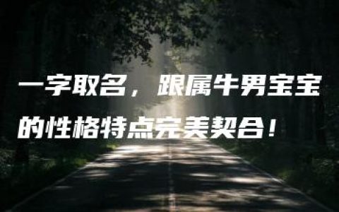 一字取名，跟属牛男宝宝的性格特点完美契合！