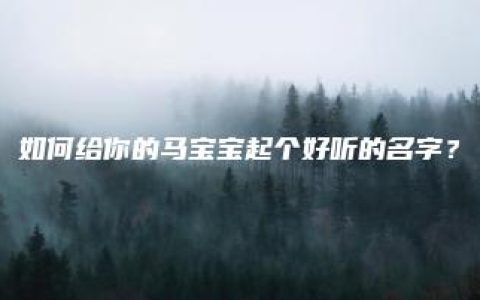 如何给你的马宝宝起个好听的名字？