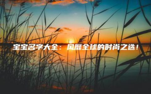 宝宝名字大全：风靡全球的时尚之选！