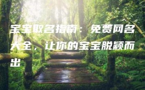 宝宝取名指南：免费网名大全，让你的宝宝脱颖而出