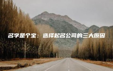 名字是个宝：选择起名公司的三大原因