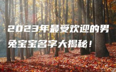 2023年最受欢迎的男兔宝宝名字大揭秘！