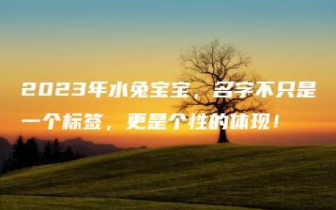 2023年水兔宝宝，名字不只是一个标签，更是个性的体现！