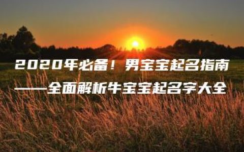 2020年必备！男宝宝起名指南——全面解析牛宝宝起名字大全