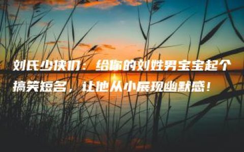 刘氏少侠们：给你的刘姓男宝宝起个搞笑短名，让他从小展现幽默感！