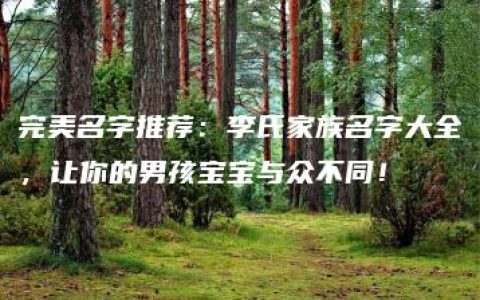 完美名字推荐：李氏家族名字大全，让你的男孩宝宝与众不同！