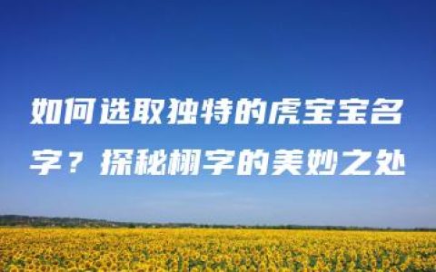 如何选取独特的虎宝宝名字？探秘栩字的美妙之处