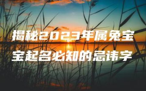 揭秘2023年属兔宝宝起名必知的忌讳字