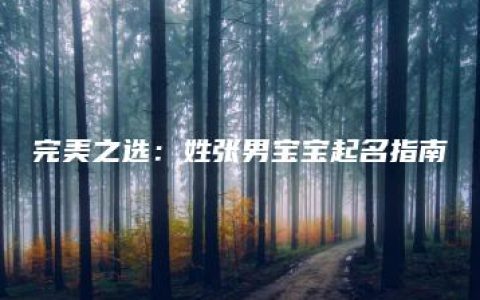 完美之选：姓张男宝宝起名指南