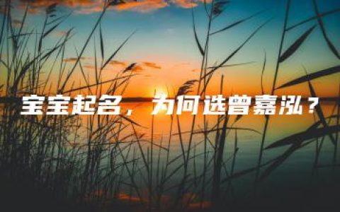 宝宝起名，为何选曾嘉泓？