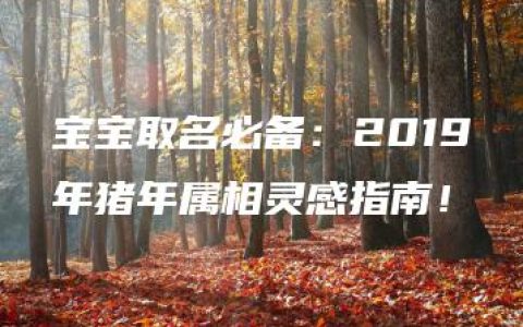 宝宝取名必备：2019年猪年属相灵感指南！