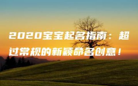 2020宝宝起名指南：超过常规的新颖命名创意！