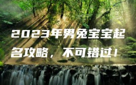 2023年男兔宝宝起名攻略，不可错过！