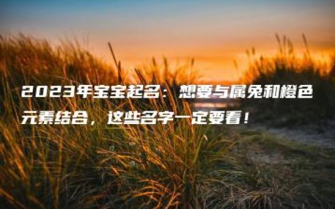 2023年宝宝起名：想要与属兔和橙色元素结合，这些名字一定要看！