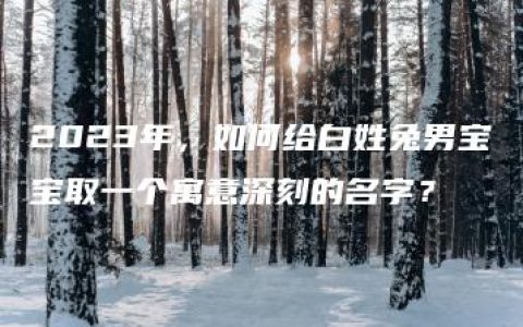 2023年，如何给白姓兔男宝宝取一个寓意深刻的名字？