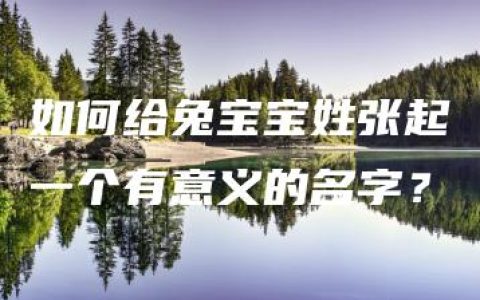 如何给兔宝宝姓张起一个有意义的名字？