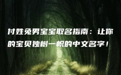 付姓兔男宝宝取名指南：让你的宝贝独树一帜的中文名字！