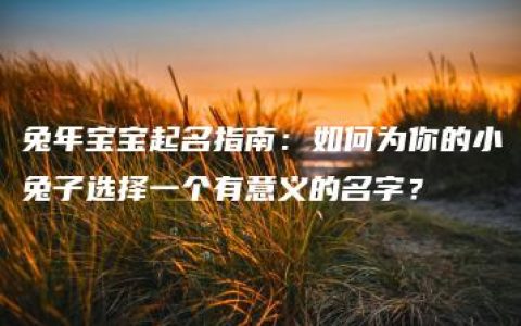 兔年宝宝起名指南：如何为你的小兔子选择一个有意义的名字？