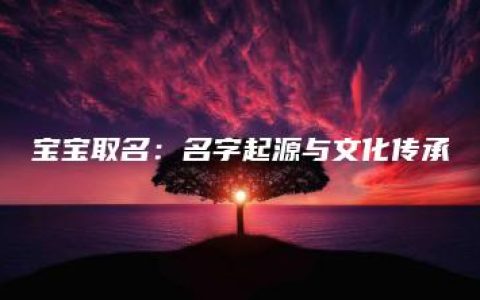 宝宝取名：名字起源与文化传承