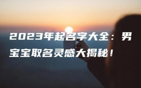 2023年起名字大全：男宝宝取名灵感大揭秘！