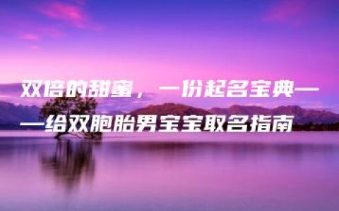 双倍的甜蜜，一份起名宝典——给双胞胎男宝宝取名指南