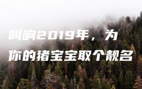 叫响2019年，为你的猪宝宝取个靓名