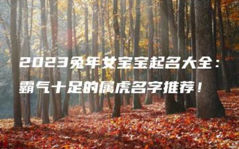 2023兔年女宝宝起名大全：霸气十足的属虎名字推荐！