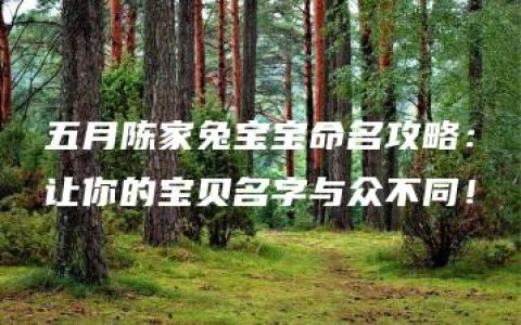 五月陈家兔宝宝命名攻略：让你的宝贝名字与众不同！