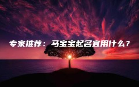 专家推荐：马宝宝起名宜用什么？