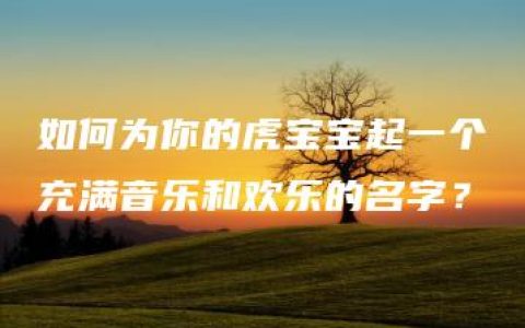 如何为你的虎宝宝起一个充满音乐和欢乐的名字？