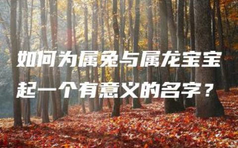 如何为属兔与属龙宝宝起一个有意义的名字？