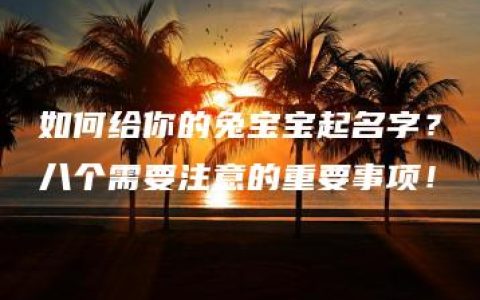 如何给你的兔宝宝起名字？八个需要注意的重要事项！