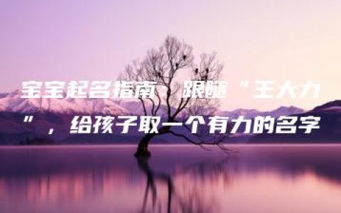 宝宝起名指南：跟随“王大力”，给孩子取一个有力的名字