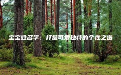 宝宝姓名学：打造可爱独特的个性之选