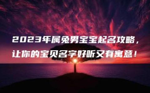 2023年属兔男宝宝起名攻略，让你的宝贝名字好听又有寓意！