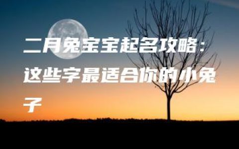 二月兔宝宝起名攻略：这些字最适合你的小兔子