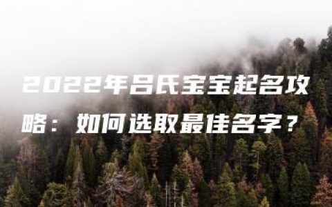 2022年吕氏宝宝起名攻略：如何选取最佳名字？