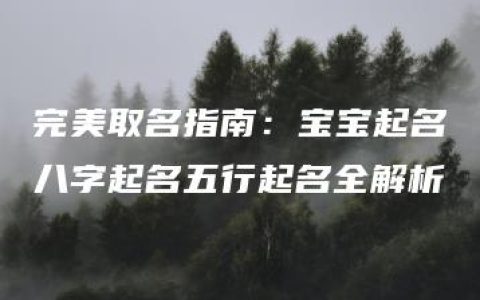 完美取名指南：宝宝起名八字起名五行起名全解析